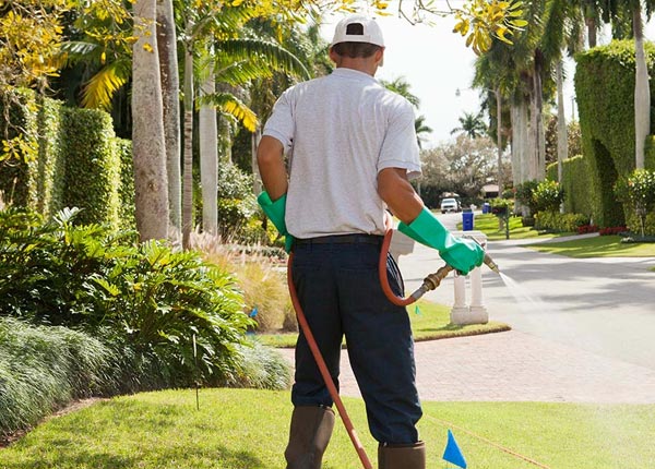 About Dimock SD Pest Control